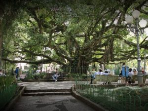 Praça XV e Catedral Metropolitana