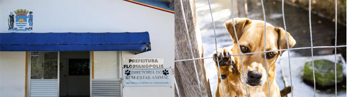 DIBEA Florianópolis