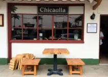 café com chinchilas
