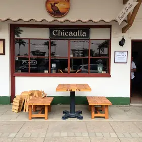 café com chinchilas