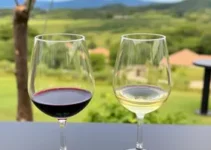 Wine Experience Square