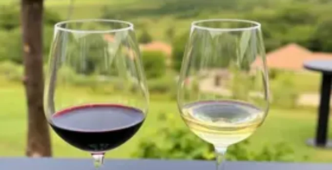 Wine Experience Square