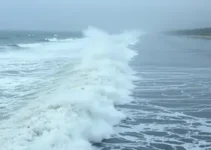 ciclone extratropical