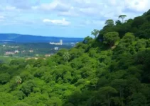 Goiânia capital arborizada