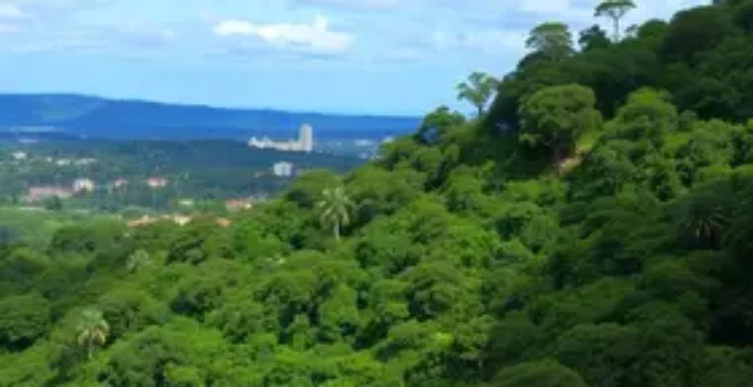Goiânia capital arborizada