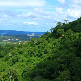 Goiânia capital arborizada