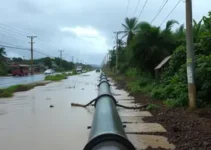 abastecimento de água na Grande Florianópolis