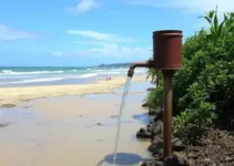 falta de abastecimento em Florianópolis