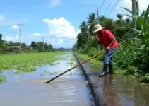 El Niño