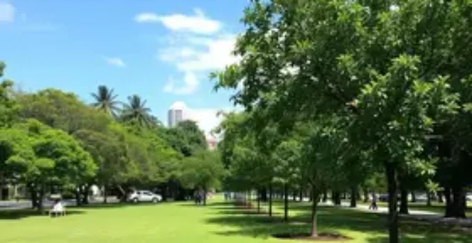 obras no Parque da Luz