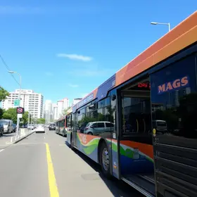 transporte coletivo da Grande Florianópolis