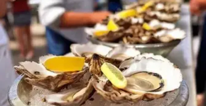 competidores ostras